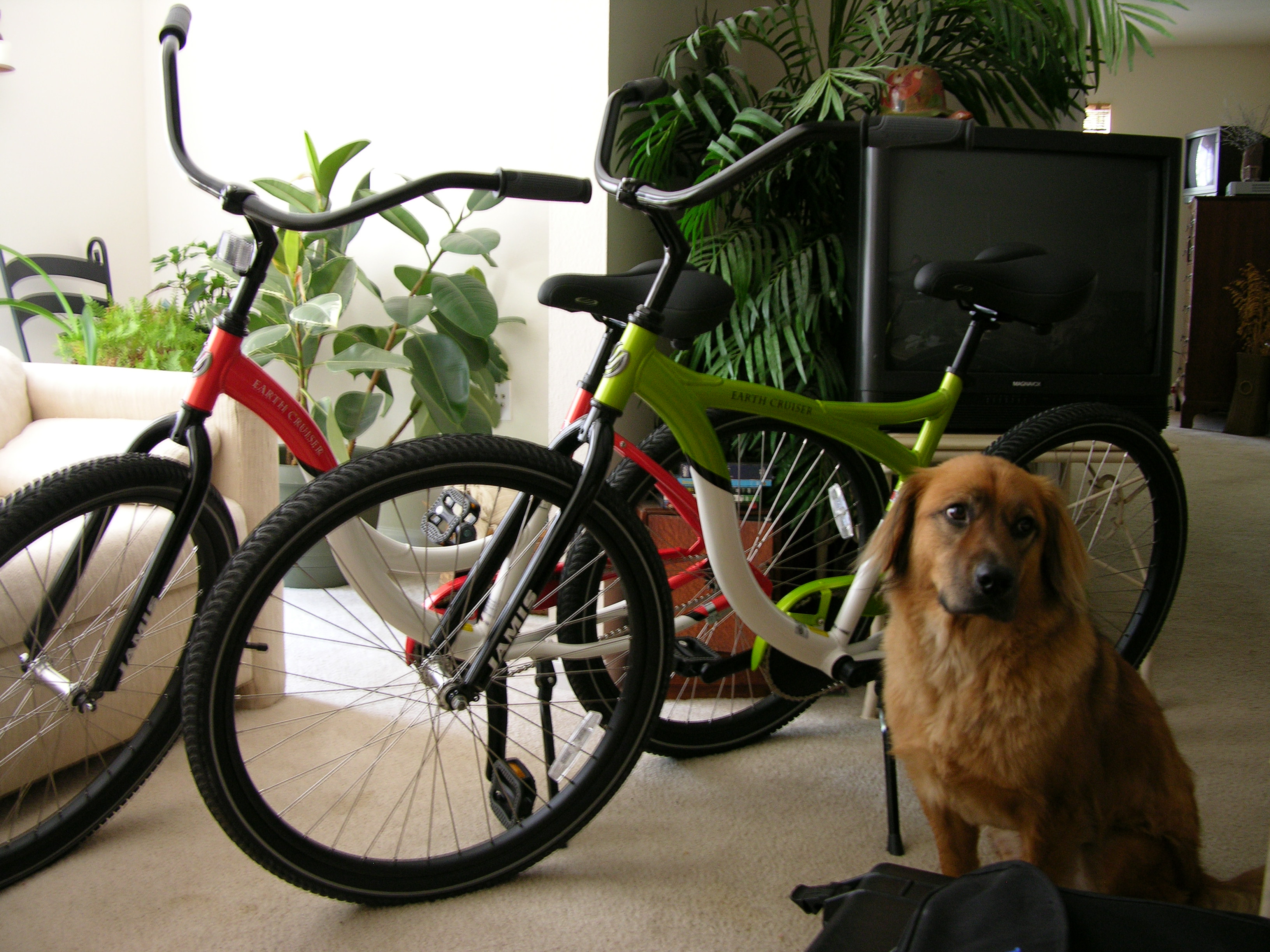Zeke and new bikes..
