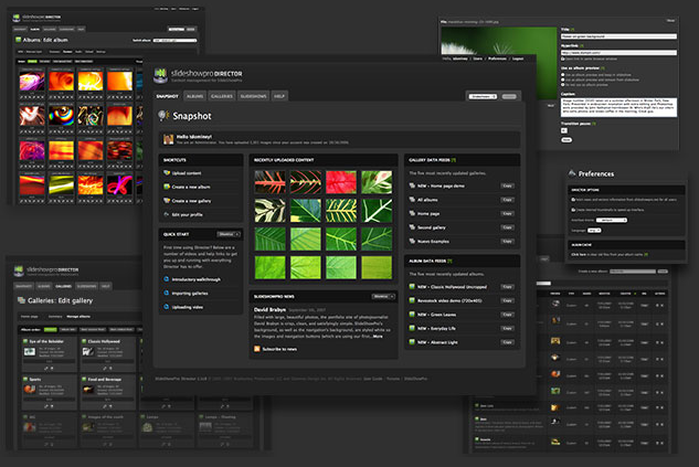 slide show pro director