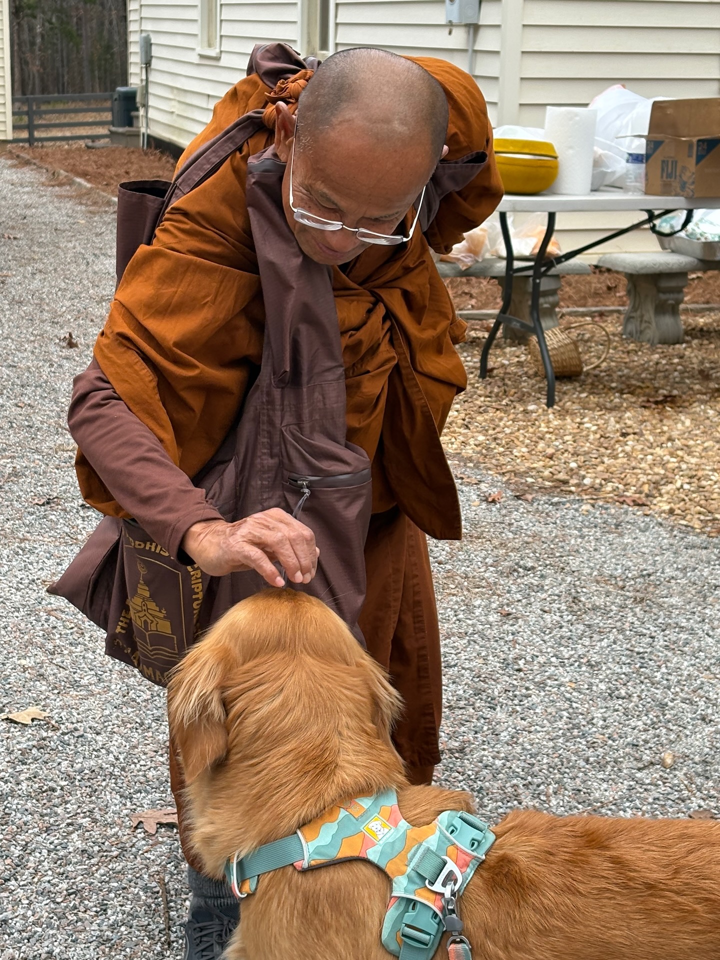 Irs with buddist monk