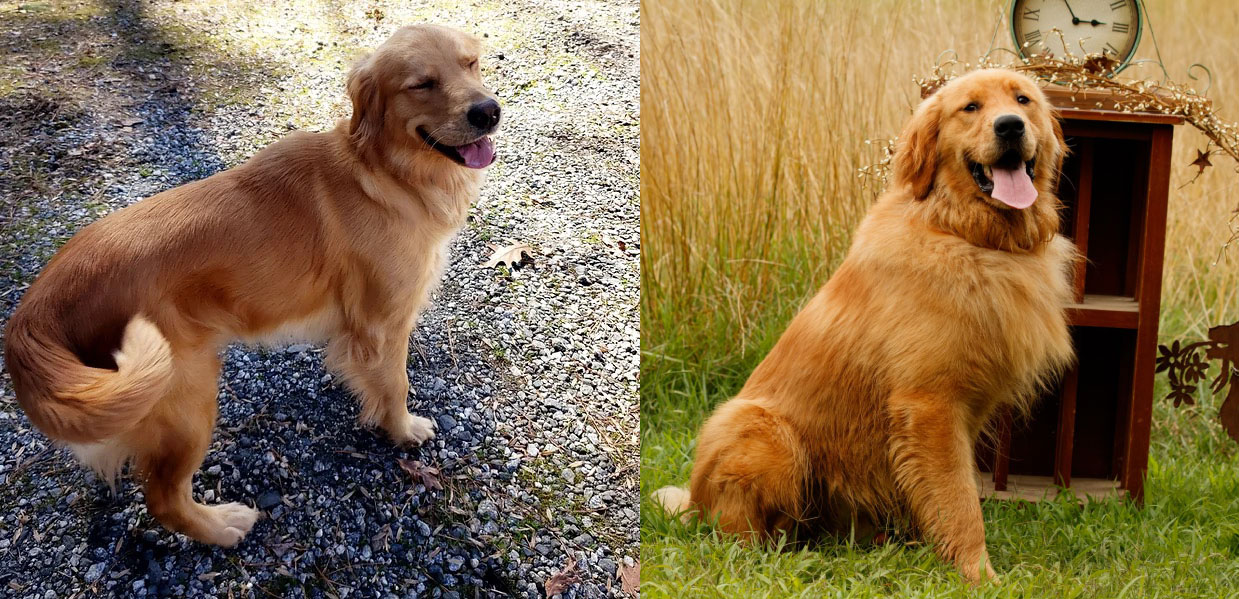 zoey+adger
