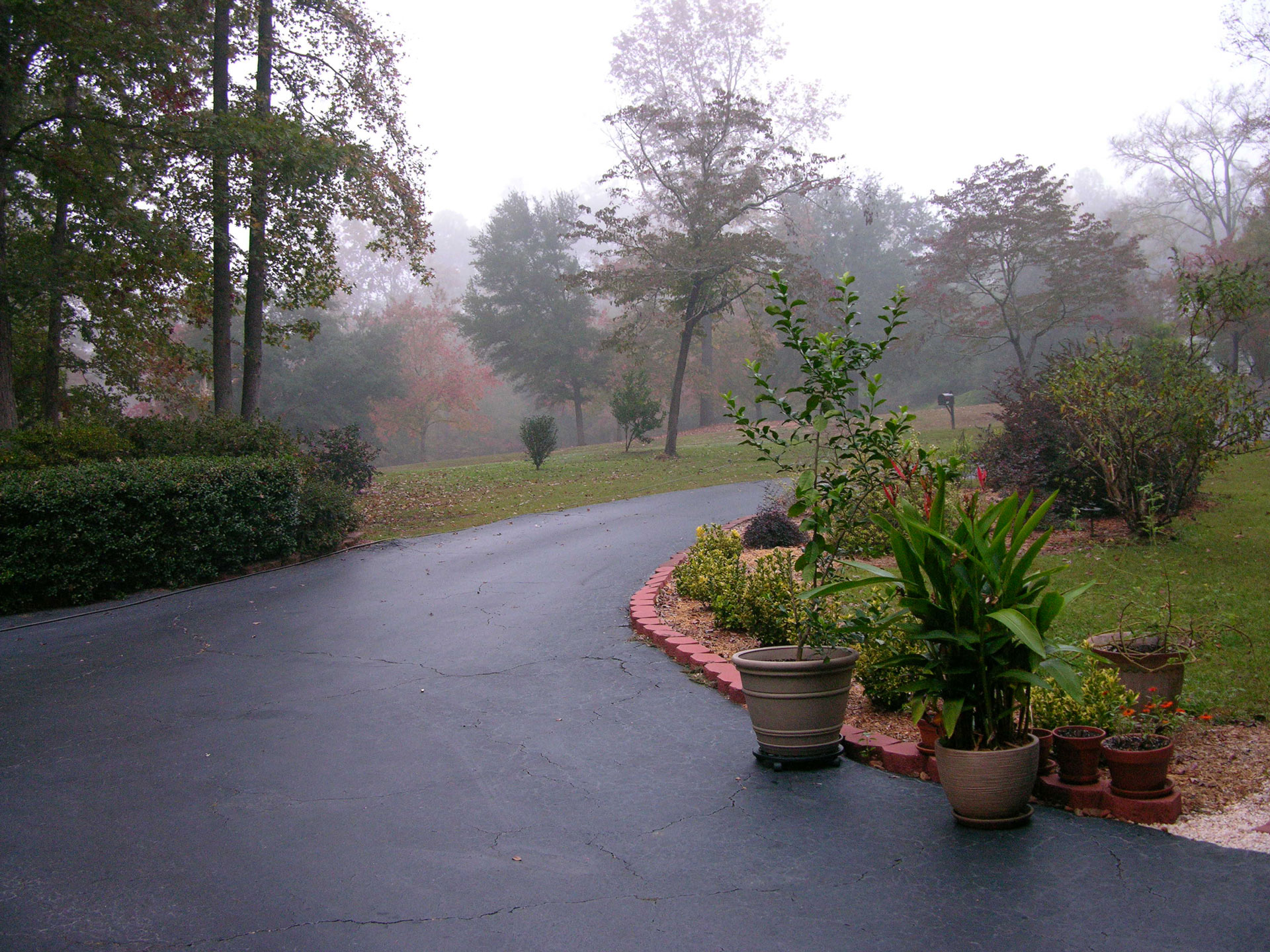 Autumn front yard