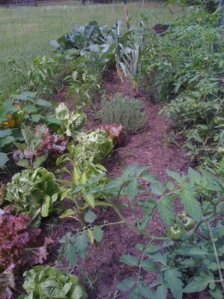 garden