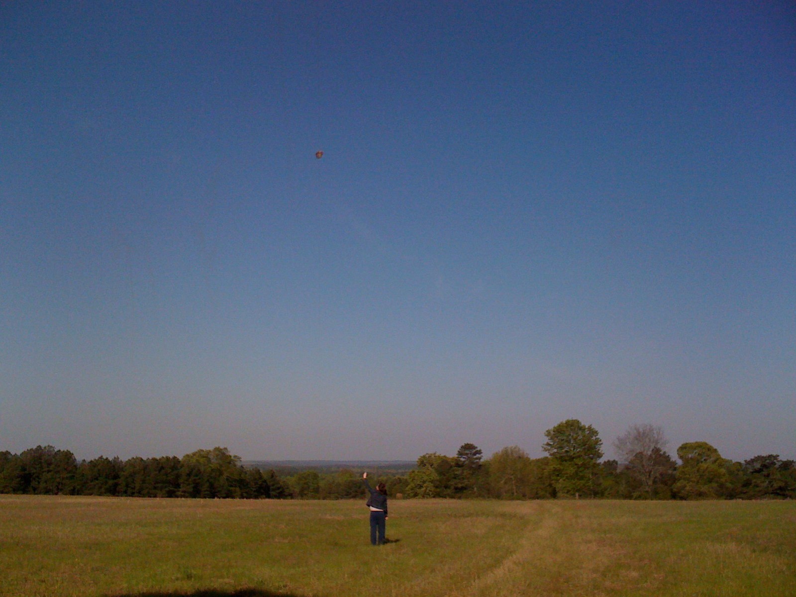 ginny-kite